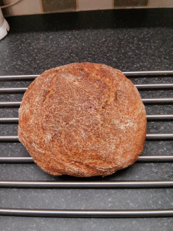 A picture of my first loaf of bread